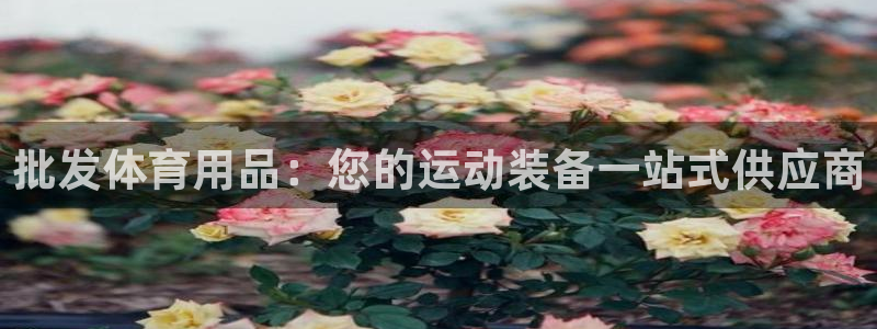 欧陆娱乐平台优势：批发体育用品：您的运动装备一站式供