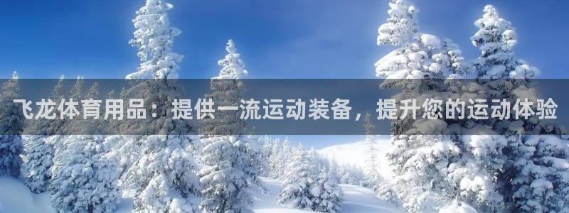 欧陆娱乐百科官网：飞龙体育用品：提供一流运动装备，提