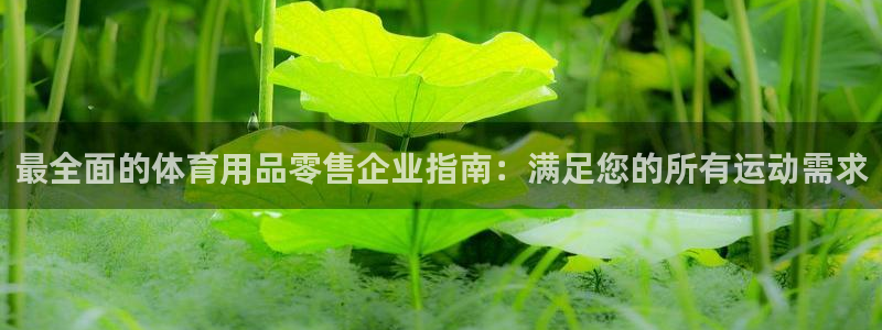 欧陆娱乐里面怎么看打排五：最全面的体育用品零售企业指