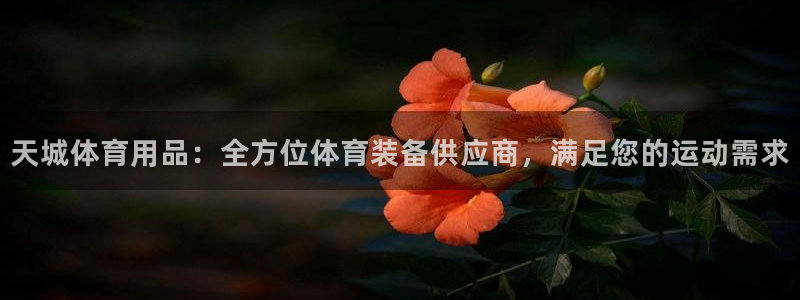 欧陆娱乐平台登陆地址是什么意思：天城体育用品：全方位