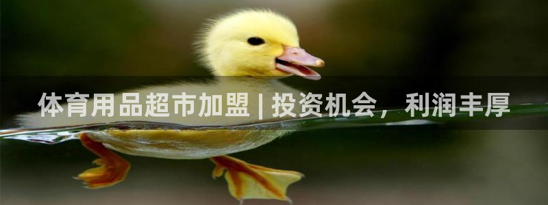 欧陆娱乐平台咋样啊：体育用品超市加盟 | 投资机会，
