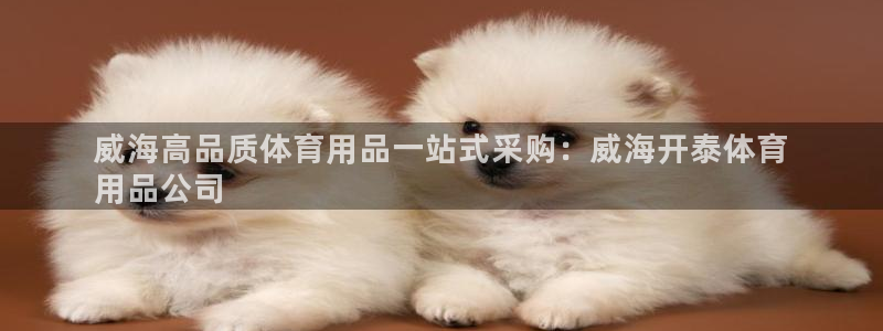 欧陆娱乐是真的假的：威海高品质体育用品一站式采购：威