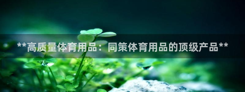 欧陆娱乐稳中：**高质量体育用品：同策体育用品的顶级