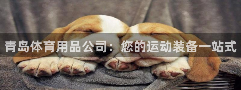 欧陆娱乐太阳：青岛体育用品公司：您的运动装备一站式