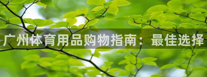 欧陆娱乐官网首页下载：广州体育用品购物指南：最佳选择