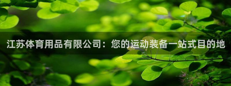 欧陆娱乐平台登录不上去了：江苏体育用品有限公司：您的