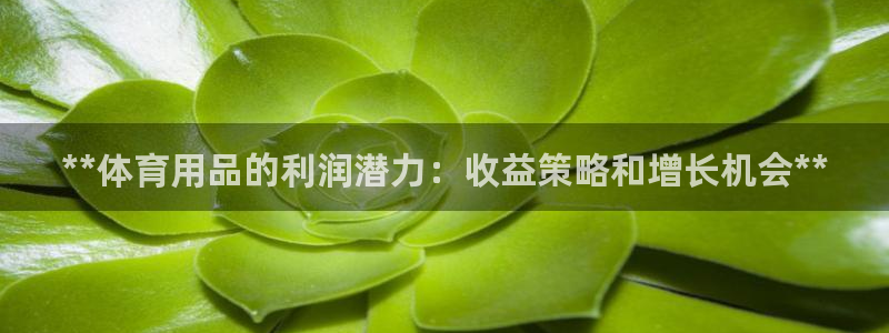 欧陆注册码：**体育用品的利润潜力：收益策略和增长机