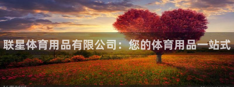 欧陆娱乐公司产品介绍图片：联星体育用品有限公司：您的