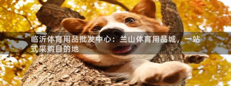 欧陆娱乐登录注册平台下载：临沂体育用品批发中心：兰山