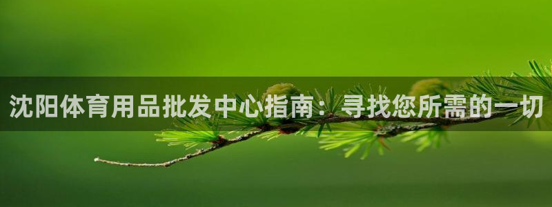 欧陆娱乐是正规平台吗安全吗可靠吗可信吗：沈阳体育用品