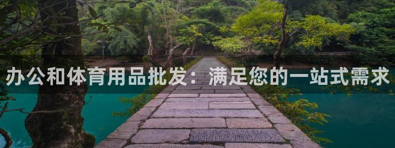 欧陆娱乐平台登录不上：办公和体育用品批发：满足您的一