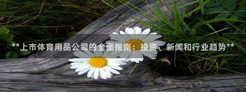 欧陆娱乐注册平台：**上市体育用品公司的全面指南：投