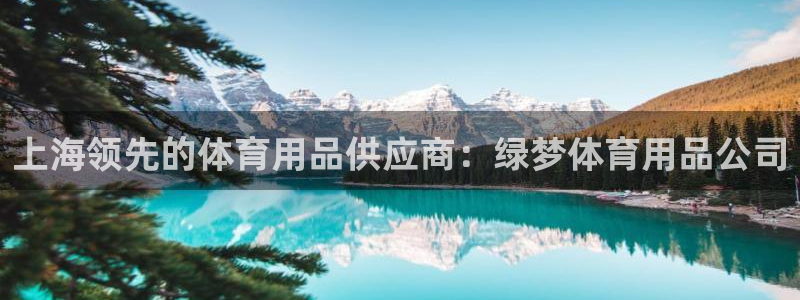 欧陆娱乐脚本怎么下载：上海领先的体育用品供应商：绿梦