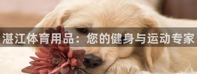 欧陆娱乐代理 贴吧：湛江体育用品：您的健身与运动专家