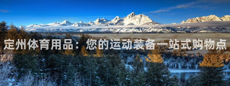 欧陆软件官网：定州体育用品：您的运动装备一站式购物点