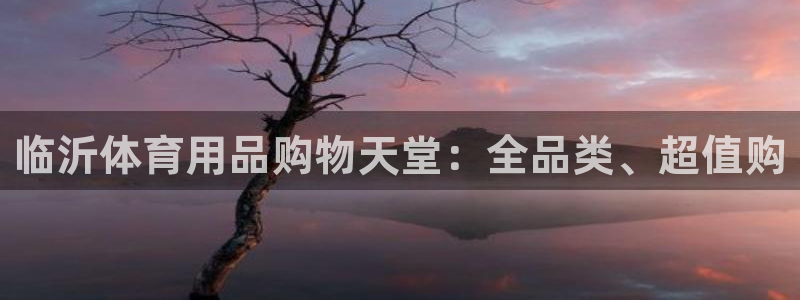 欧陆娱乐怎么注册会员号：临沂体育用品购物天堂：全品类