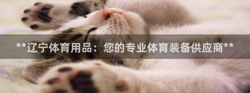 欧陆娱乐会员有什么用：**辽宁体育用品：您的专业体育