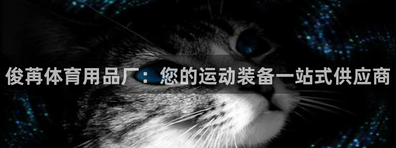欧陆娱乐平台优势：俊苒体育用品厂：您的运动装备一站式