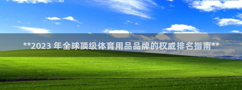 欧陆娱乐推广奖金多少：**2023 年全球顶级体育用