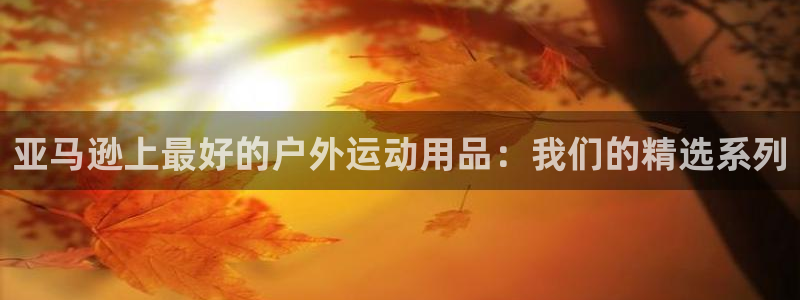 欧陆娱乐计划app官方正版安装下载：亚马逊上最好的户