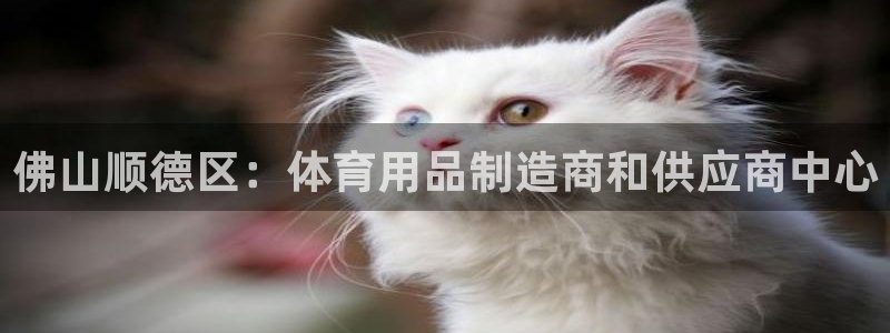 欧陆是什么平台：佛山顺德区：体育用品制造商和供应商中