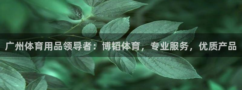 欧陆娱乐代理多少个点位可以赚钱：广州体育用品领导者：