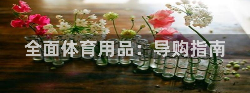 欧陆娱乐招商主管：全面体育用品：导购指南