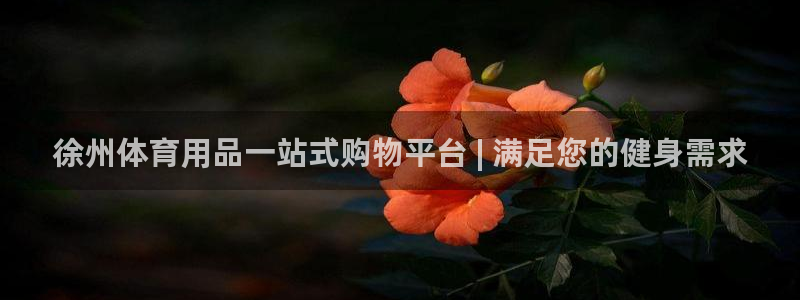 欧陆娱乐公司产品介绍怎么写：徐州体育用品一站式购物平