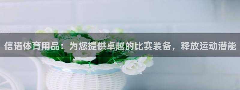 欧陆娱乐共创美好时刻：信诺体育用品：为您提供卓越的比赛装备，