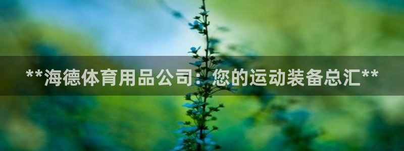 欧陆娱乐是干什么的：**海德体育用品公司：您的运动装