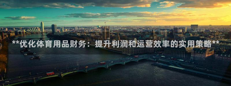 欧陆娱乐能提现嘛现在：**优化体育用品财务：提升利润