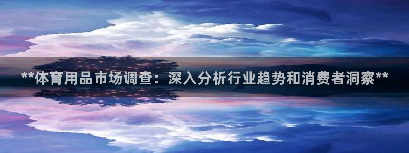 欧陆娱乐官方网站：**体育用品市场调查：深入分析行业