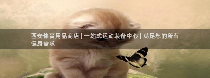 欧陆商城：西安体育用品商店 | 一站式运动装备中心 