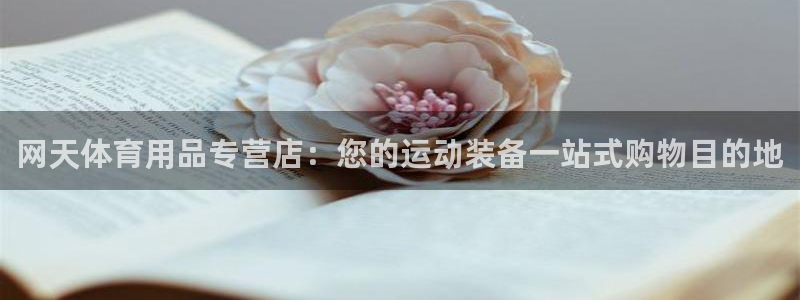 欧陆娱乐登陆平台有哪些：网天体育用品专营店：您的运动