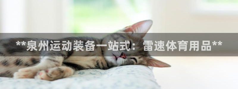 欧陆娱乐信誉吗：**泉州运动装备一站式：雷速体育用品