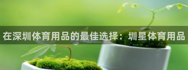 欧陆娱乐平台优势：在深圳体育用品的最佳选择：圳星体育