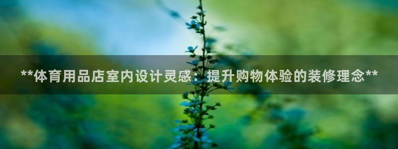 欧陆娱乐测速：**体育用品店室内设计灵感：提升购物体