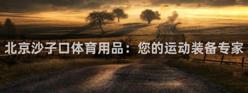 欧陆娱乐平台登录不上去：北京沙子口体育用品：您的运动
