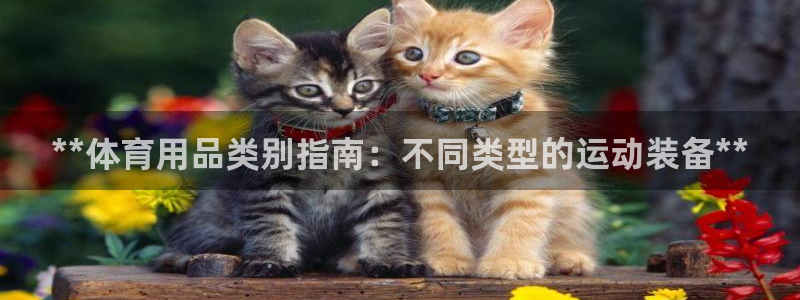 欧陆娱乐平台咋样赚钱快：**体育用品类别指南：不同类