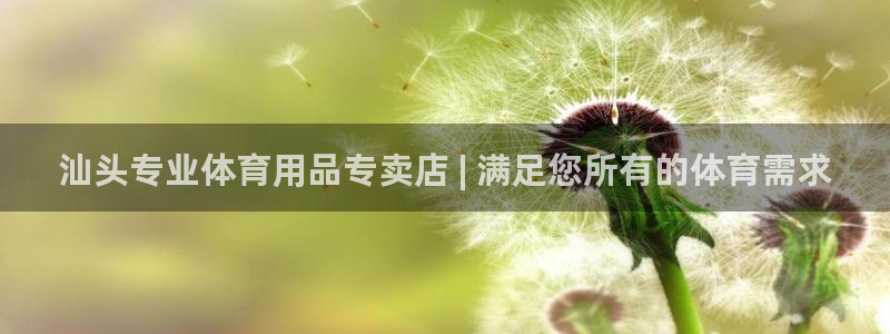 欧陆娱乐app下载安装：汕头专业体育用品专卖店 | 