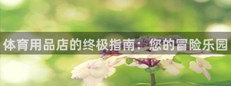 欧陆娱乐怎么注册会员：体育用品店的终极指南：您的冒险