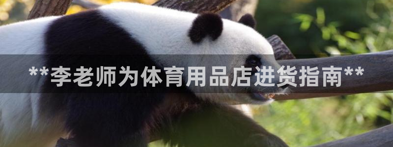 欧陆娱乐官网入口网址：**李老师为体育用品店进货指南