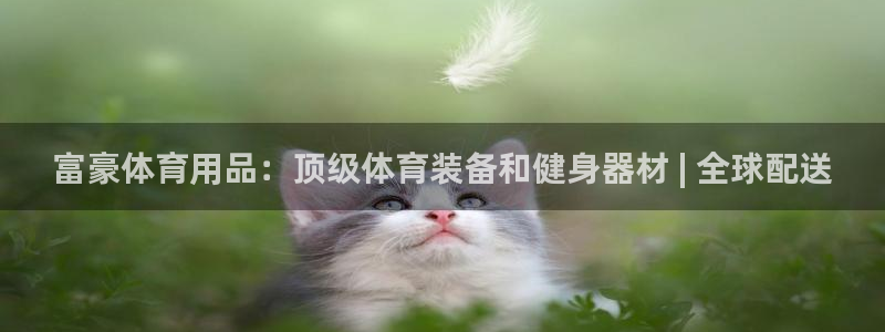 欧陆娱乐脚本怎么下载：富豪体育用品：顶级体育装备和健