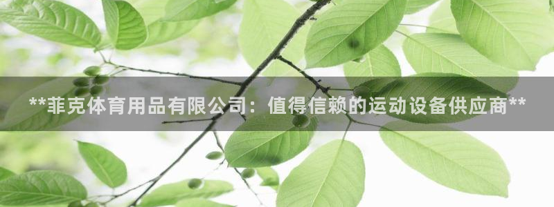 欧陆娱乐稳中：**菲克体育用品有限公司：值得信赖的运