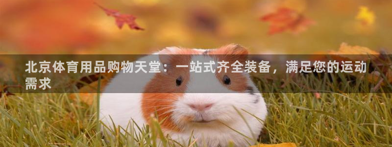 欧陆娱乐登录官网：北京体育用品购物天堂：一站式齐全装