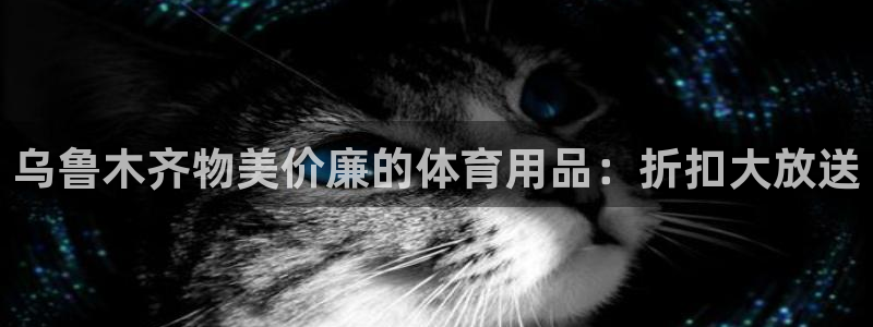 欧陆娱乐登录注册平台官网：乌鲁木齐物美价廉的体育用品