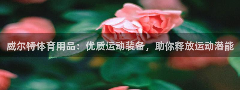 欧陆娱乐注册链接安全吗可靠吗：威尔特体育用品：优质运