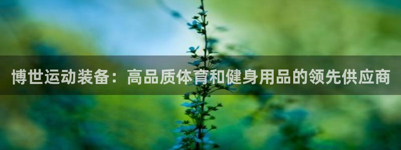 欧陆娱乐平台官网入口：博世运动装备：高品质体育和健身