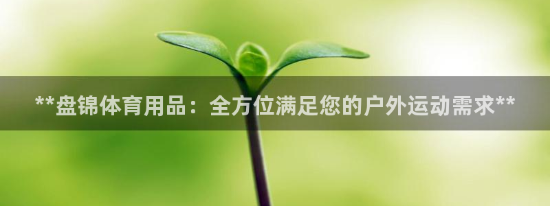 欧陆娱乐平台登录不上去怎么回事：**盘锦体育用品：全
