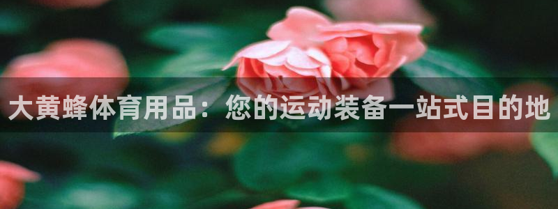 欧陆娱乐怎么注册会员：大黄蜂体育用品：您的运动装备一